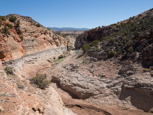 istock A Muddy Branch of the Bighorn River 955902904