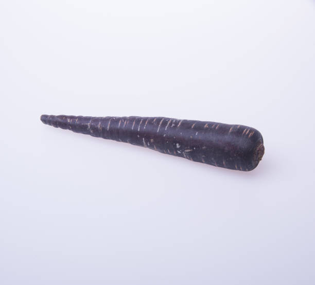 istock carrot or black carrot on a background 955904302