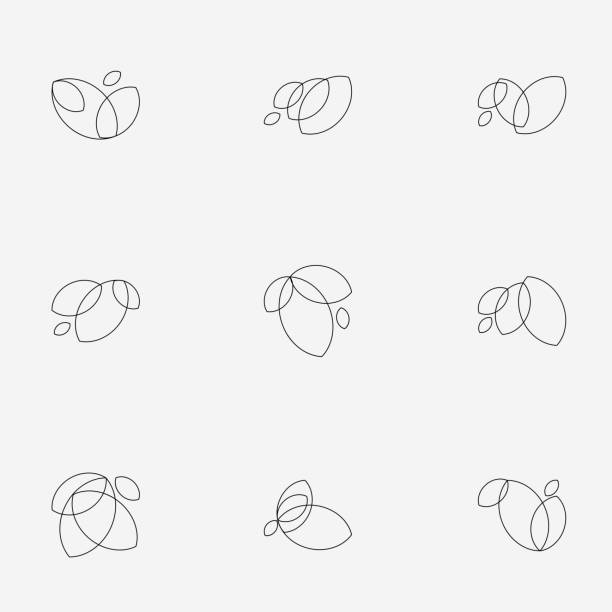 ilustrações de stock, clip art, desenhos animados e ícones de line style floral icon - leaf logo