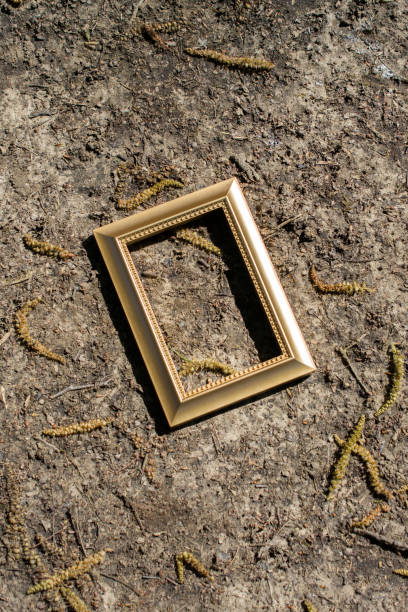 istock Blank wooden picture  frame on  background 955911942