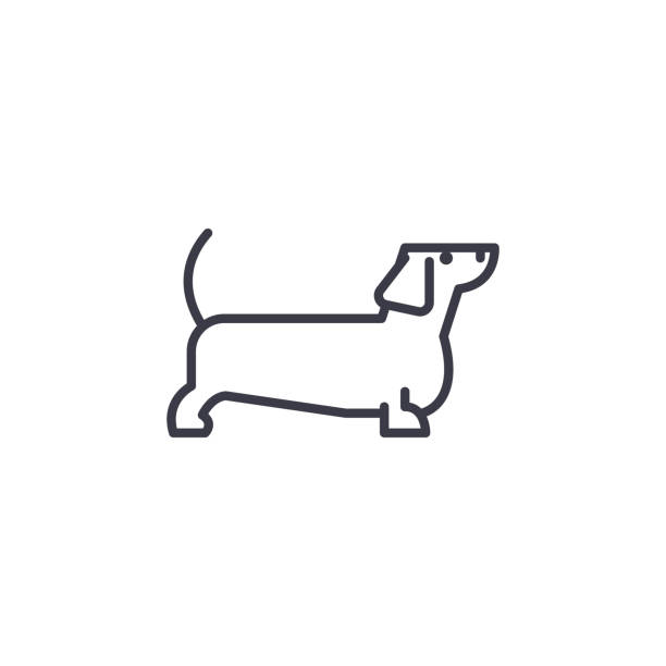ikona linii wektora jamnika, znak, ilustracja na tle, edytowalne obrysy - dog set humor happiness stock illustrations
