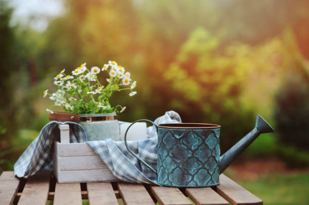 scène de bel été avec bouquet de fleurs de camomille, plateau en bois rustique et nappe avec fond vert. notion de travail de jardin. - chamomile plant photos photos et images de collection