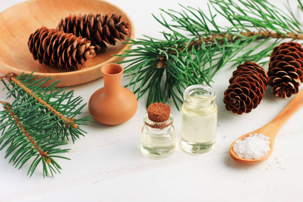 istock Pine tree branches with essential oil bottle and sea salt 955941436