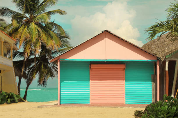 tradizionale capanna di tronchi di legno colorata in stile caraibico sulla costa con vista sul mare e palme dietro - seaview foto e immagini stock