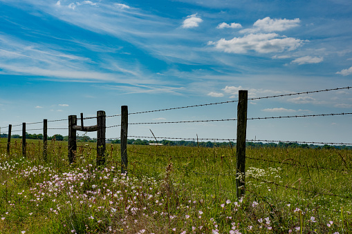Country background of a six-strand barbed wire fence with wildflowers and beautiful blue sky and clouds