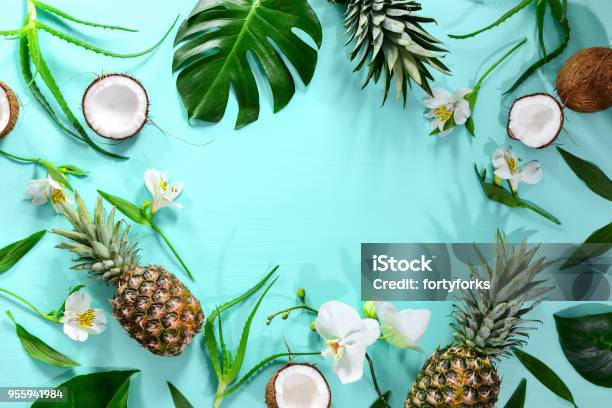 Foto de Verão Tropical Tema Plano De Fundo Composição Plana Leigo Com Um Espaço Para Um Texto e mais fotos de stock de Verão