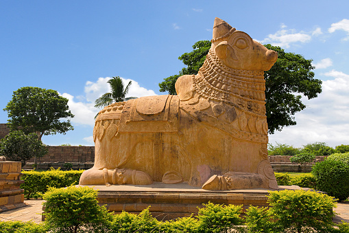 Huge Nandi bull at the entrance, Brihadisvara Temple, Gangaikondacholapuram, Tamil Nadu, India.