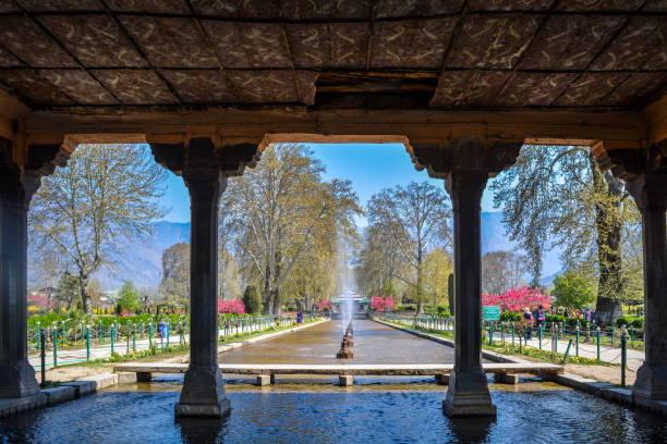istock Framed Shalimar Garden, Srinagar, Jammu and Kashmir 955945924