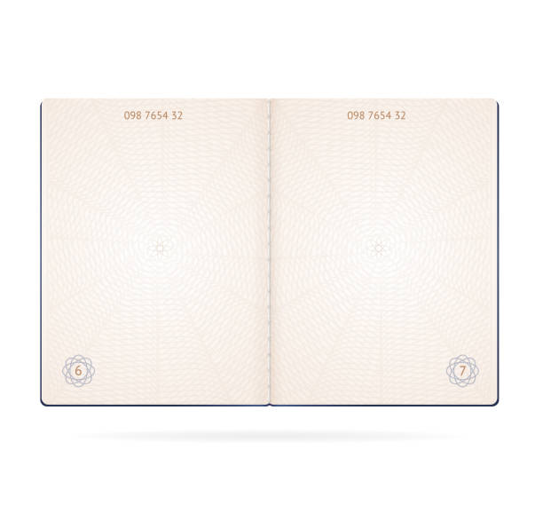 realistyczne szczegółowe 3d passport blank. wektor - strona stock illustrations