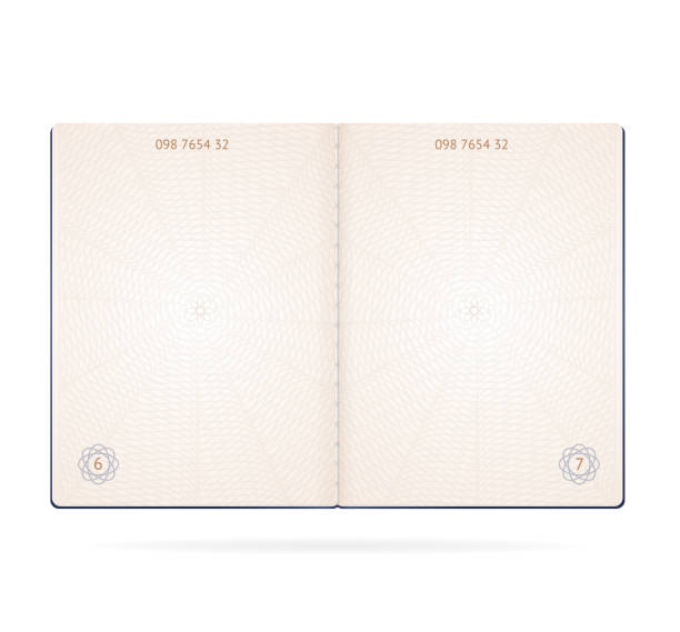 Realistic Detailed 3d Passport Blank. Vector Realistic Detailed 3d Passport Blank Open Page Sheet Isolated on White Background . Vector illustration of Layout Template passport stock illustrations