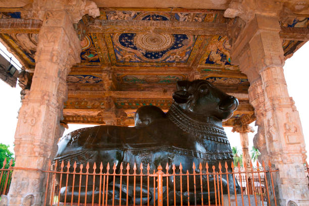 monolítica enorme nandi, templo de brihadisvara, tanjore, tamil nadu, índia. - nandi - fotografias e filmes do acervo