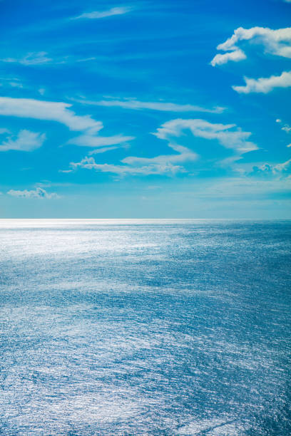 istock Exotic blue tropical ocean / sea tropical scenery. 955948512