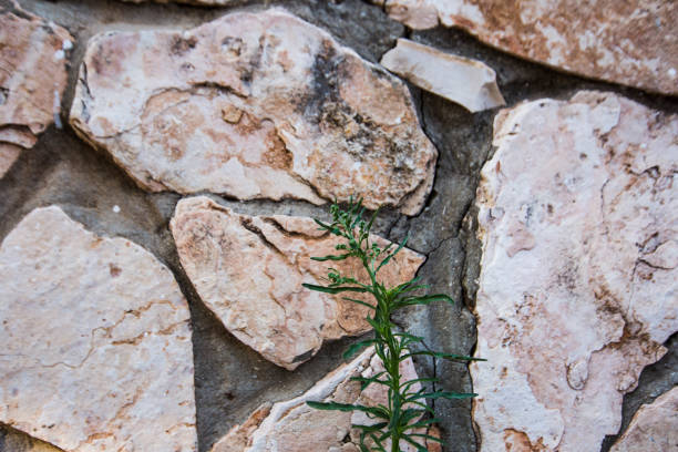 istock Close up of natural stone wall. Stone wall texture 955951070