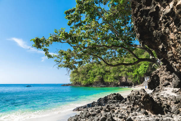 istock Tropical beach and black rocks with ocean in Bali. Blue lagoon 955952420