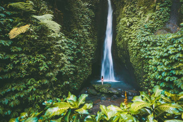 красивый водопад с тропическими растениями. и женщина-путешественник на бали, индонезия - бали стоковые фото и изображения