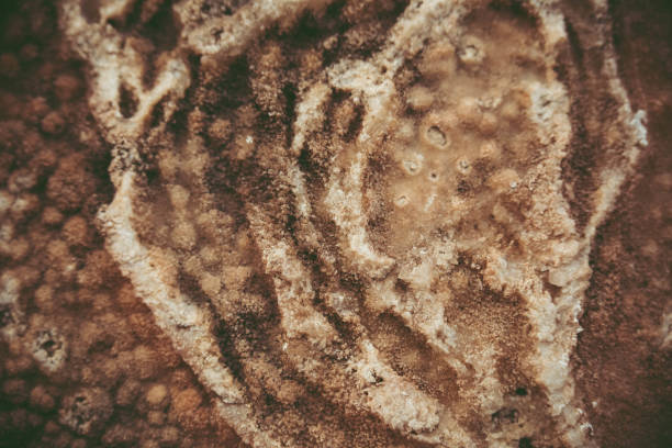 istock Close up of natural stone wall. Stone wall texture 955958856