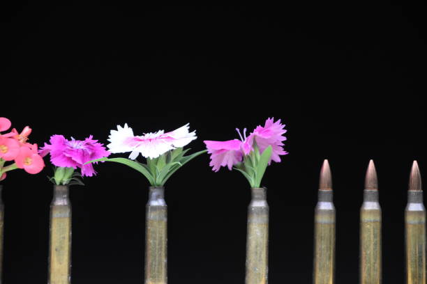kwiaty w beczkach - disarmament zdjęcia i obrazy z banku zdjęć