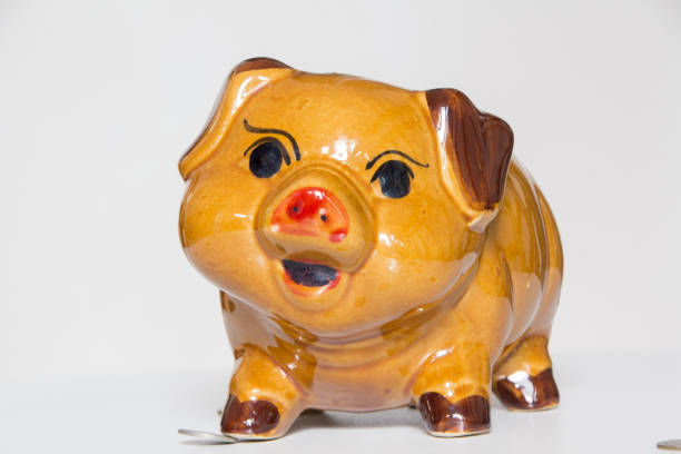 istock saving money in piggy bank 955962676
