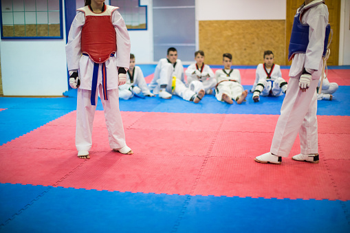 Group of taekwondo kids, team training indoors