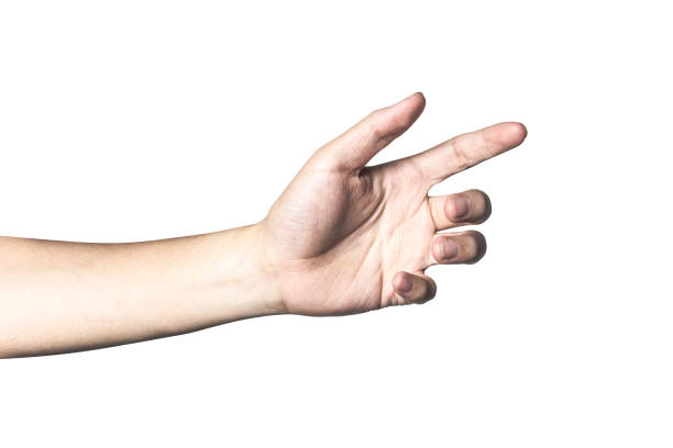 istock Hand open and ready to help or receive. Gesture isolated on white background with clipping path. 955972872