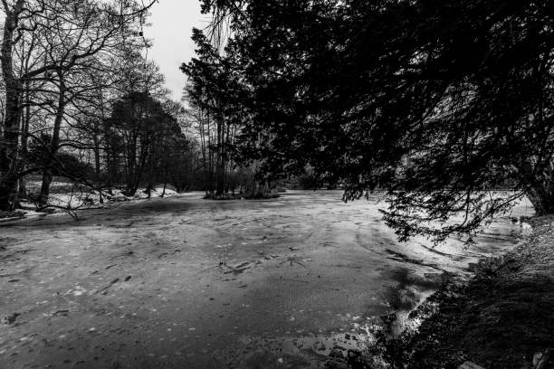frozen lake in winter ice frost season