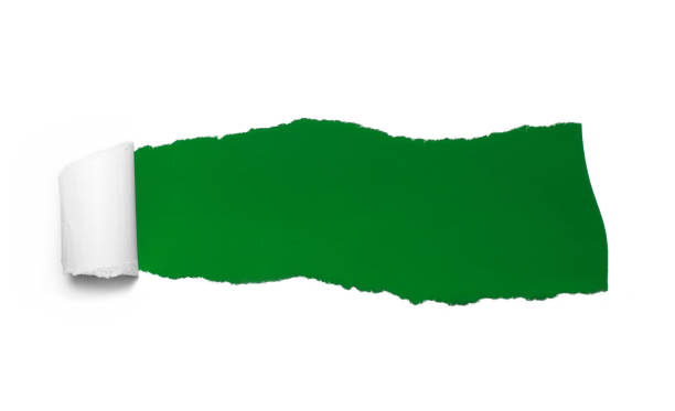 istock Torn paper over a blank green background for message 955979642