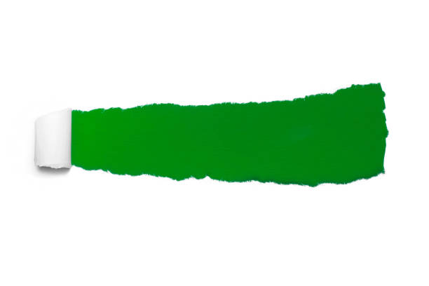 istock Hole in white paper with torn sides over green paper background with space for text. Torn paper for web advertising 955979678