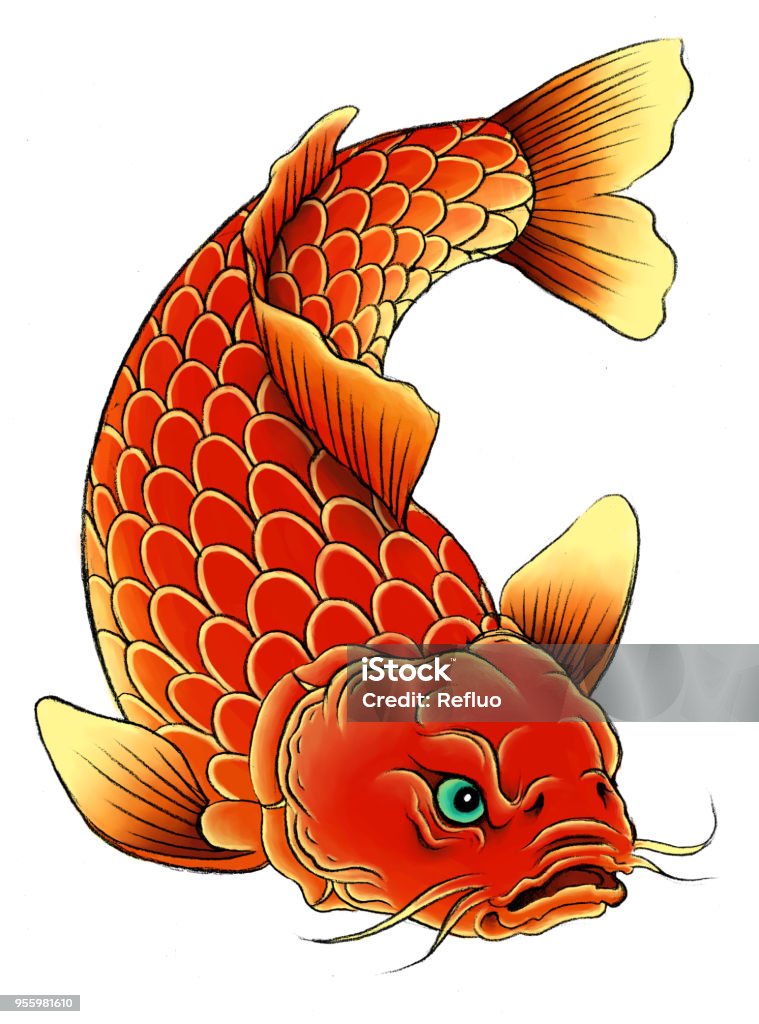 asian carp three Traditional asian carp on the white background. Chinese Culture stock illustration