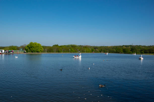 istock Lake with swan paddle boats 955984878