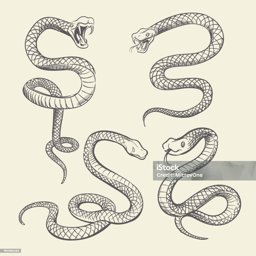 Jeu de serpent dessins main. La faune serpents tatouage vecteur design isolé - clipart vectoriel de Serpent libre de droits