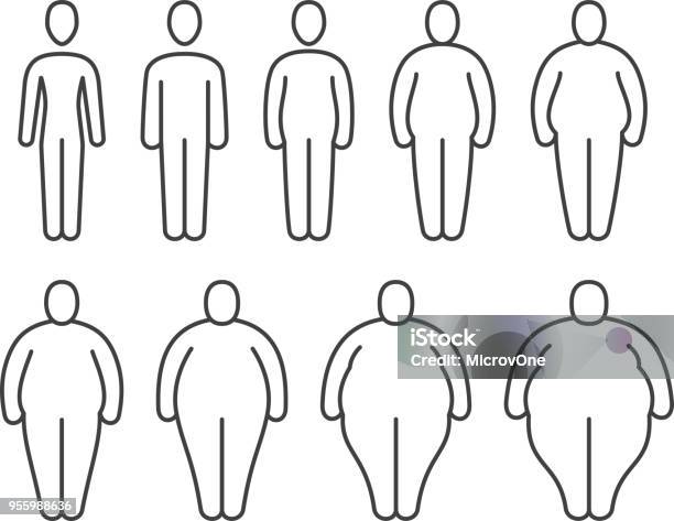 From Thin To Fat Body People Pictograms Different Proportions Of Human Bodies Obese Classification Vector Line Icons Stock Illustration - Download Image Now