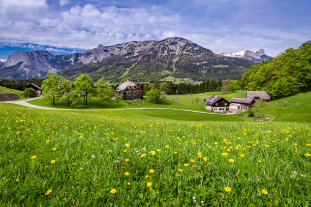 istock Beautiful green valley in Austrian Alps in spring, Europe 955990454