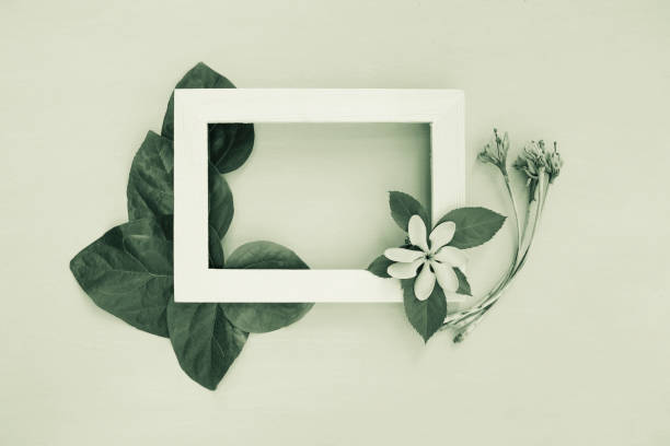 istock Design frame with beautiful natural leaves and flower 955990498
