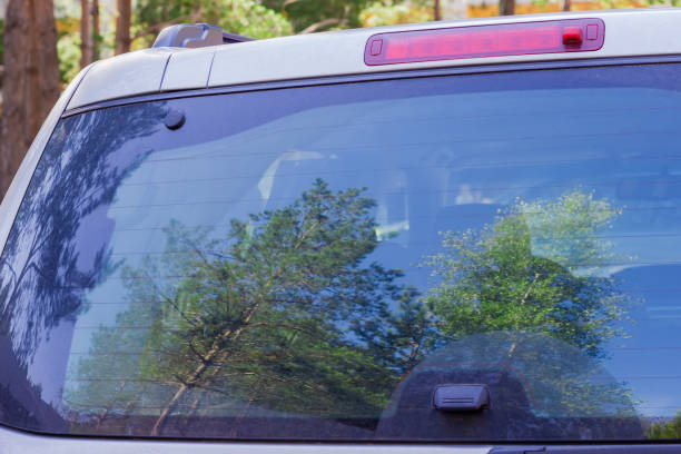 Fragment of back of the car with trees reflection Fragment of the back of the modern car with brake lights and blurred reflection of the coniferous and deciduous trees in rear window pine woodland stock pictures, royalty-free photos & images