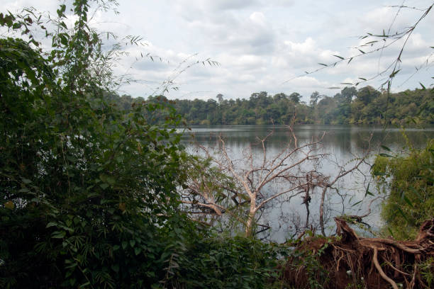 istock View of Yeak Laom lake 955998102