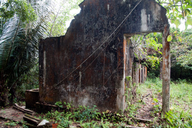 istock View of derelict building at Black Palace complex 955999226