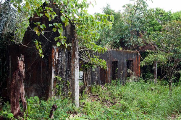 istock View of derelict building at Black Palace complex 955999444