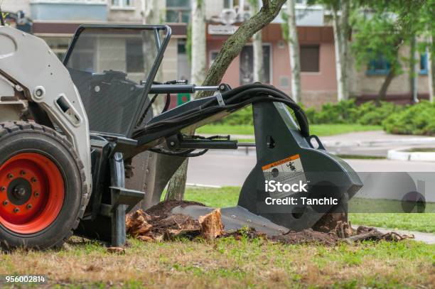 Machine Crushes The Stump Stock Photo - Download Image Now - Tree Stump, Grinding, Service