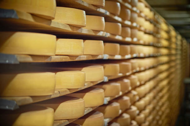 선반에 치즈 휠 - cheese topping 뉴스 사진 이미지
