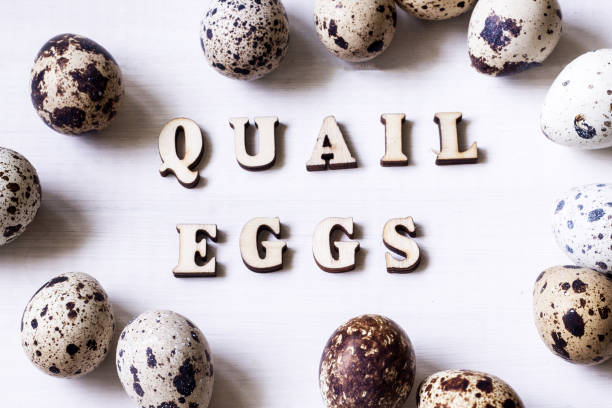 fresh quail eggs
