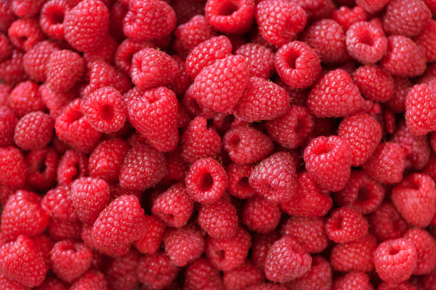 istock Fresh organic raspberries with mint leaves. Fruit background with copy space. Summer and berries harvest concept. Vegan, vegetarian, raw food 956017460