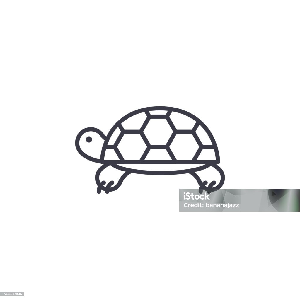 turtle vector line icon, sign, illustration on background, editable strokes turtle vector line icon, sign, illustration on white background, editable strokes Tortoise stock vector
