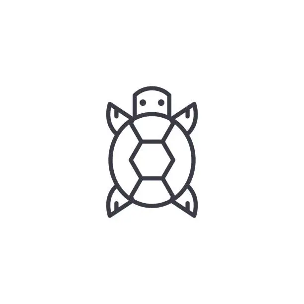 Vector illustration of turtle front view vector line icon, sign, illustration on background, editable strokes