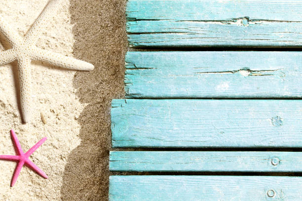 istock Sea life on the beach 956020042