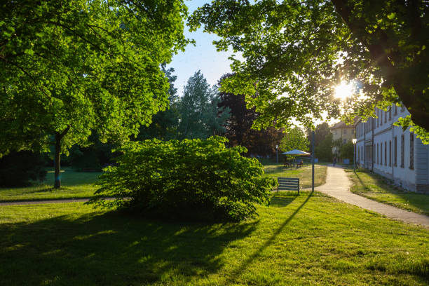 istock sunbeams at a city park on springtime evening sunset 956020832