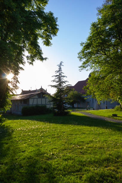 istock sunbeams at a city park on springtime evening sunset 956020834