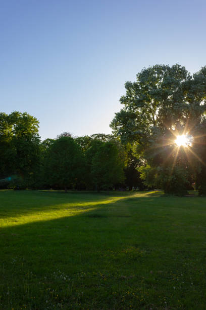 istock sunbeams at a city park on springtime evening sunset 956020838