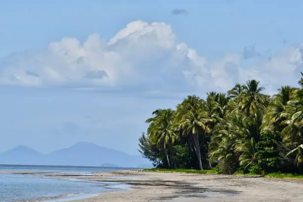 Photo of Four Mile Beach