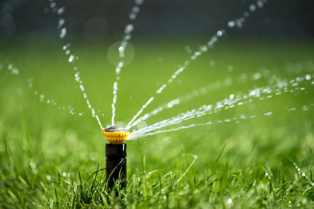 istock Sprinkler in action watering grass 956025596