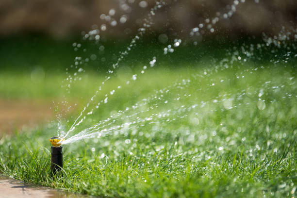 istock Sprinkler in action watering grass 956025598